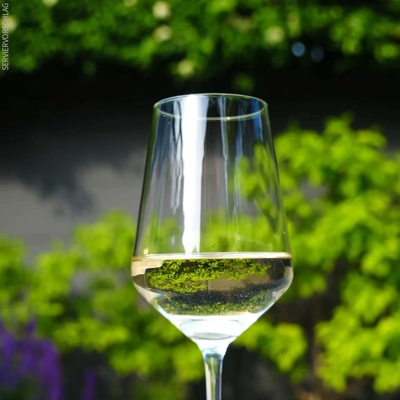 Jumi Moscatel 