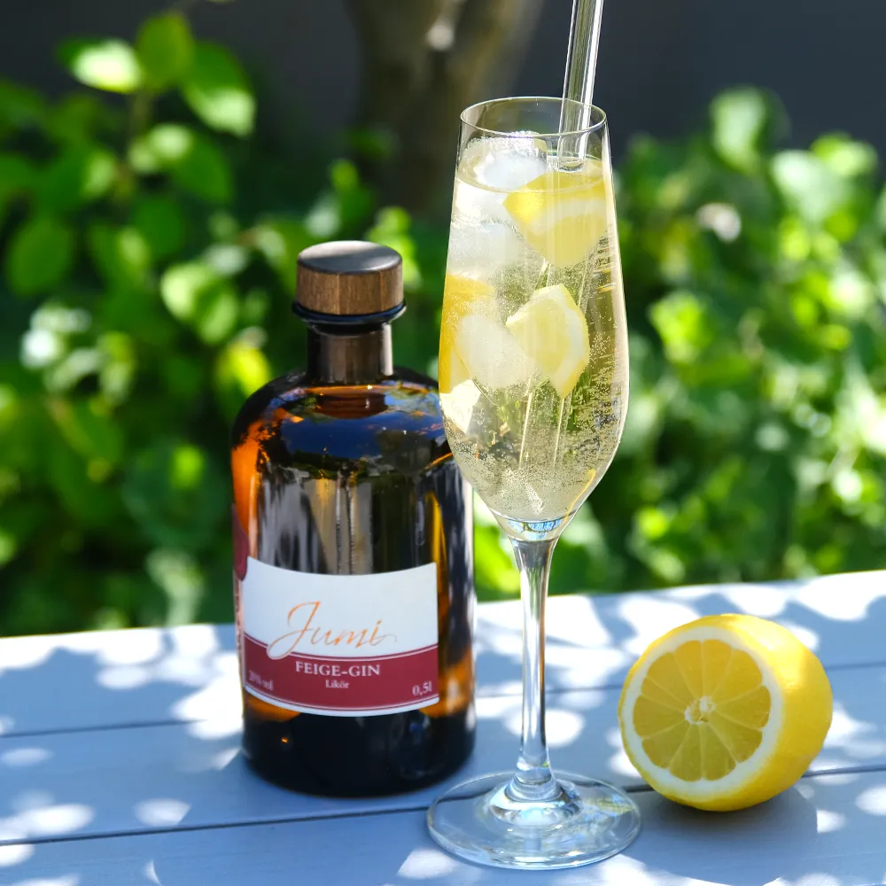 Feige-Gin Spritz