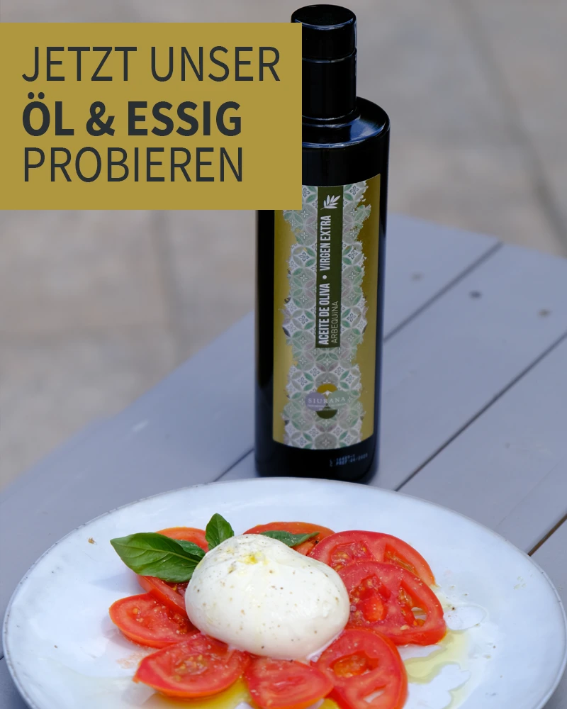 Hochwertiges Olivenöl und edlen Balsamico Essig für die Küche Flaschen mit Olivenöl und eine Schale Oliven
