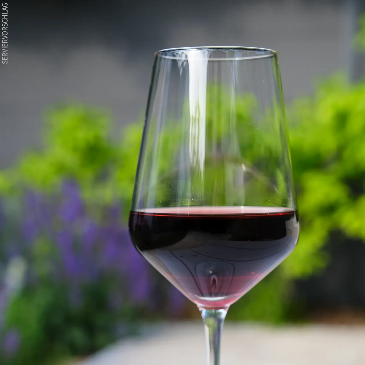 Robinroter Genuss aus Spanien Ein Glas Tempranillo