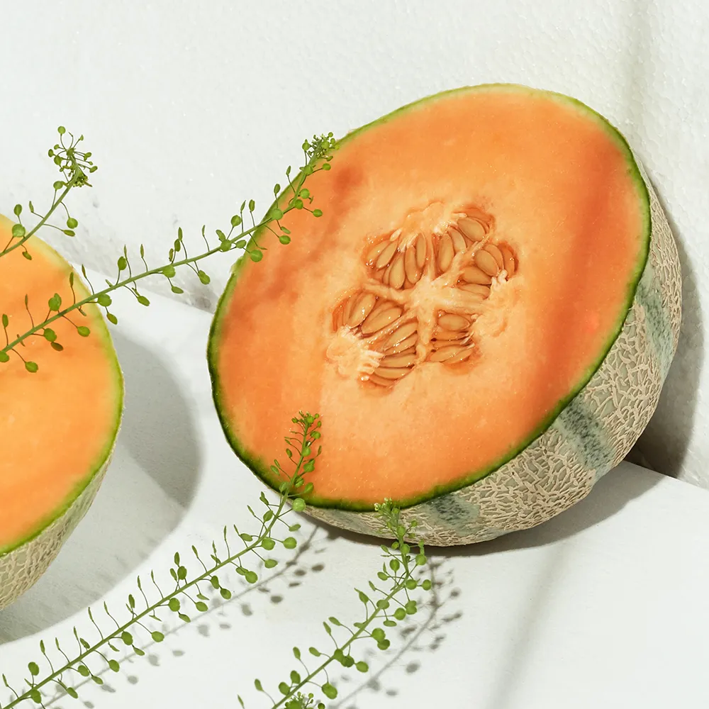 Melone Likör